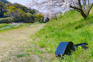 桜とランドセル