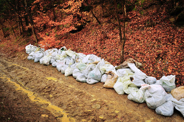 Rows of trash bags after collecting litter in the forest