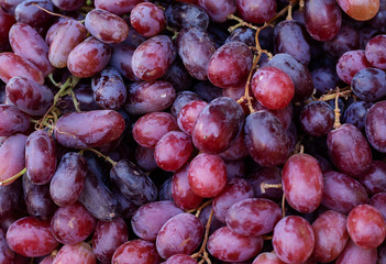 red grape in market