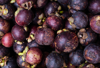 mangosteen background