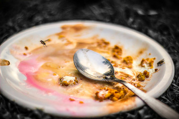 Flies in the food