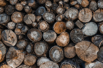 Background of stacked logs,logs.Ecological method of heating.