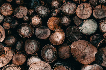 Background of stacked logs,logs.Ecological method of heating.