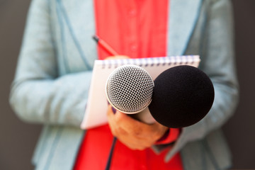 Female reporter at press conference, writing notes, holding microphone