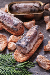 Close up of canned sardines on toast