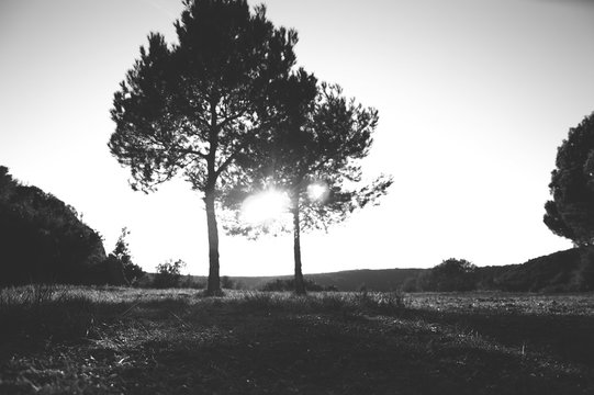 paisaje de monta&ntilde;a en blanco y negro