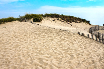 Dunes with grass on top and many footsteps in foreground with retaining fences with sand almost to the top under a pretty blue sky