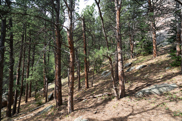 Colorado Nature Collection