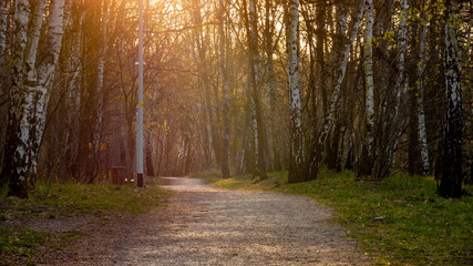 Obraz premium Ordinary park and early spring colors. Gdansk Stogi, Poland.