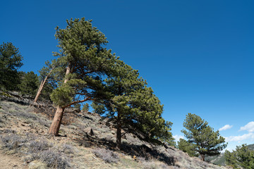 Colorado Nature Collection