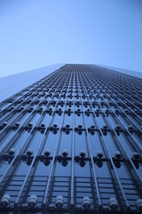 skyscrapers in the city