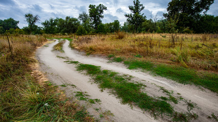 dirt road in the meadow against the background of deciduous forest.