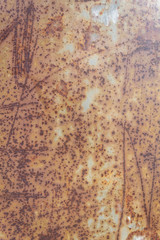 Rusty Metal Texture