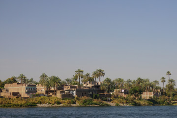 Fototapeta na wymiar Nile River, Egypt: Houses and palm trees line the east bank of the Nile River.