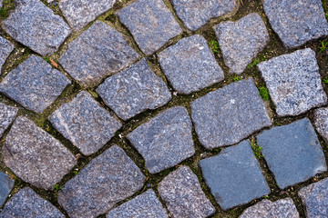 Gray Square Pavement. Seamless Tileable Texture.