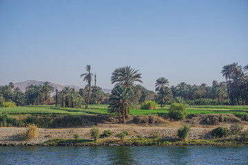 Nile River, Egypt: Fertile fields of crops, palm trees, and a minaret on the west bank of the Nile River.