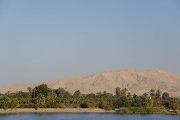 Nile River, Egypt: Sand dunes and palm trees on the west bank of the Nile River.