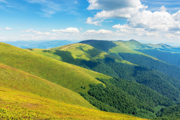 Obraz premium beautiful summer landscape in mountains. ridge rolling in the distance. sunny weather. fluffy clouds on the blue sky. wonderful nature background. location carpathians, borzhava