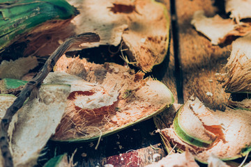 Close up to Coconut peel on the table after being peeled to make coconut juice.