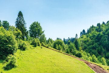 Obraz premium path uphill in to the mountains. summer countryside landscape. grassy meadow and forest on the slope