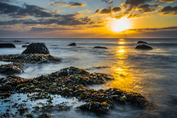 Seascapes of Cape Sable Island Nova Scotia Canada