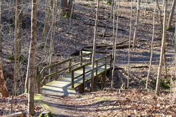 The wooden bridge on the trail in the forest on a sunny day.