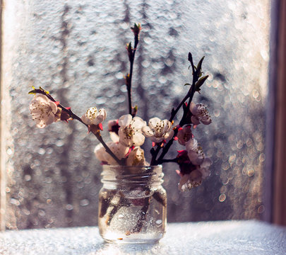 Spring flower