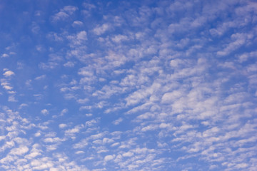 Fototapeta premium Blue sky with white clouds