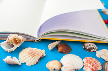 Obraz na płótnie Canvas Open empty notebook on a blue background with shells and starfish