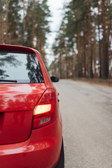 Obraz na płótnie Canvas red car on the forest road