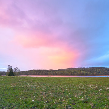 Purple Dusk