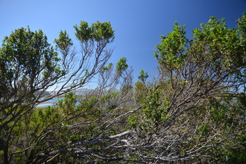 Obraz premium Impressions from surroundings of Golden Gate Bridge in San Francisco from May 2, 2017, California USA