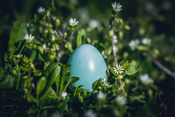 Spring Green Garden and Easter Eggs