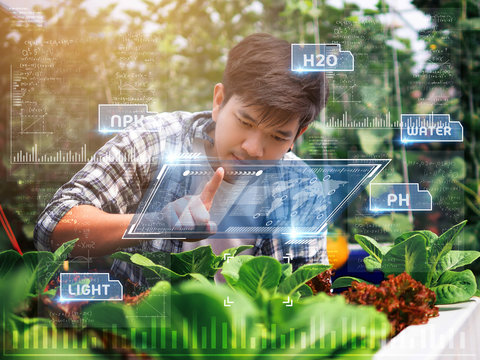 Farmer using Ar technology  at smart farm. - Powered by Adobe