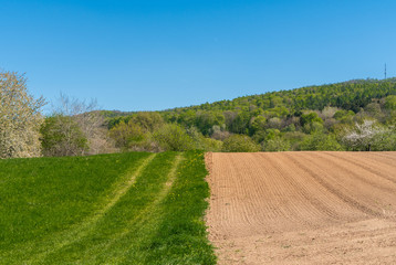 Wiejski krajobraz, panorama. Pola pod uprawe. © ff25