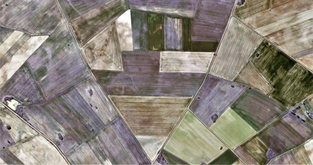 agricultural geometry,  abstract photography of the Spain, aerial view, representation of human...