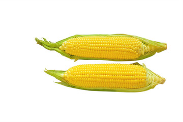 Fresh Raw Corns on White Background