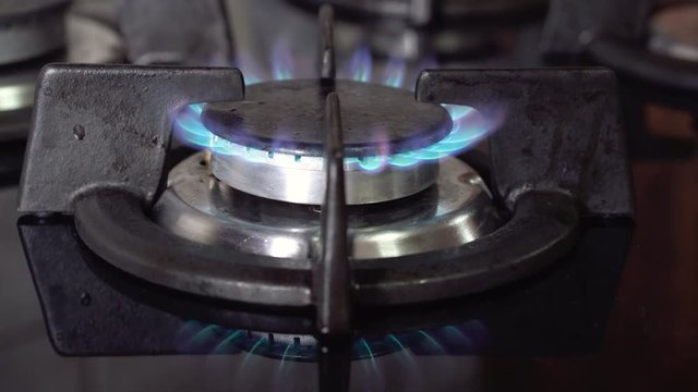 Blue gas flames, Burning gas, kitchen stove burner.