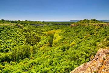 Fototapeta na wymiar Beautiful summer landscape with fresh green forest and blue sky - panoramic view