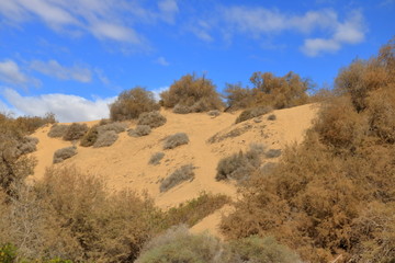 Aerial view of the Maspalomas dunes on Gran Canaria island.