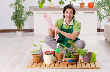 Young male gardener with plants indoors 