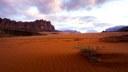 Fototapeta na wymiar Wadi Rum Wüste