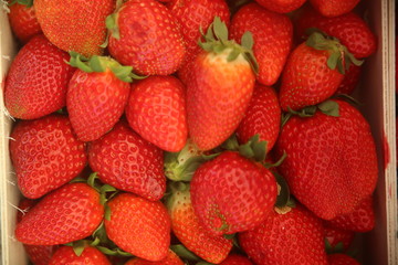 strawberries on black background
