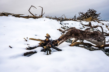 Fishing boat and beach scenes from the south of Nova Scotia Canada