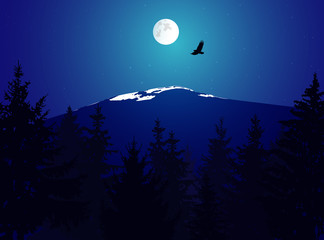 Obraz na płótnie Canvas Landscape. Eco banner. Night. Moonlights.