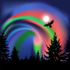 Obraz na płótnie Canvas Silhouette of coniferous trees on the background of colorful sky. Flying eagle. Night. Northern lights.