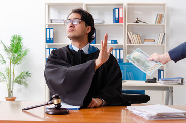 Young woman visiting male lawyer 