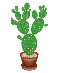 A potted plant is shown. Cactus Opuntia with flat juicy green leafy stems, covered with sharp thorns. Lovely hobby for collectors of cacti. Vector illustration