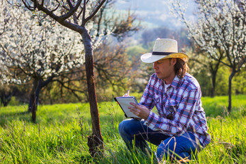 Naklejka na ściany i meble Farmer checking fruit tree in orchard and writing results to notepad. Agriculture concept