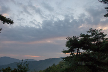 A person who feels quieter in old Han-Ok in pine forest after rain.